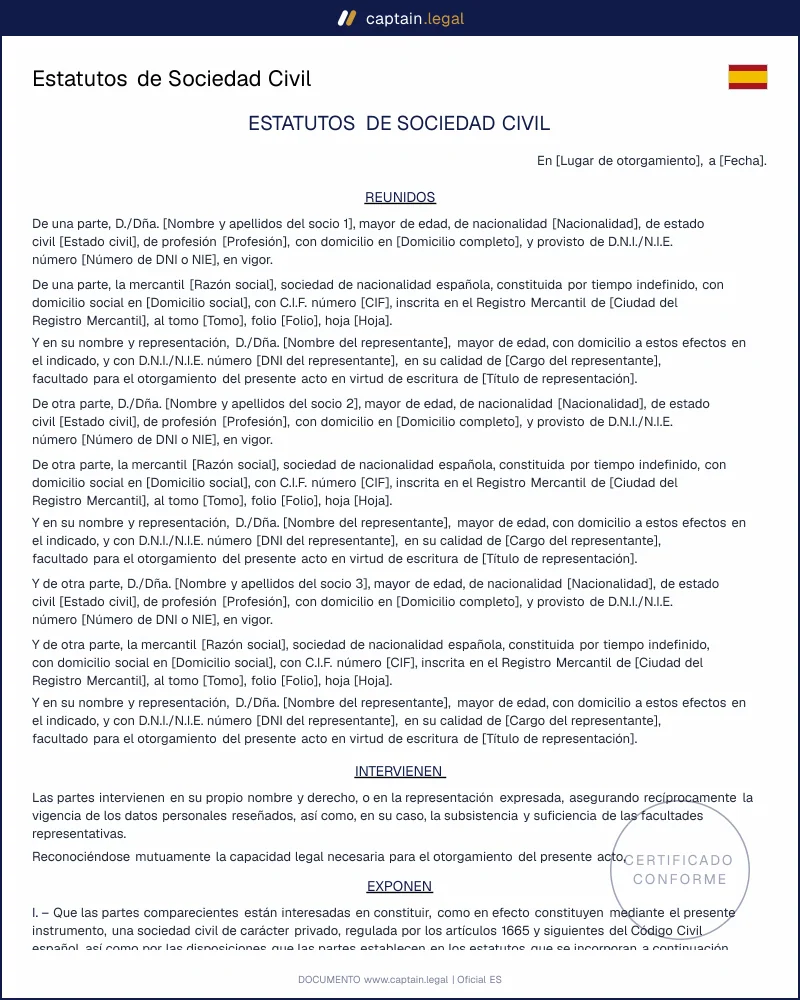 Estatutos Sociedad Civil para freelances y profesionales | S.C.