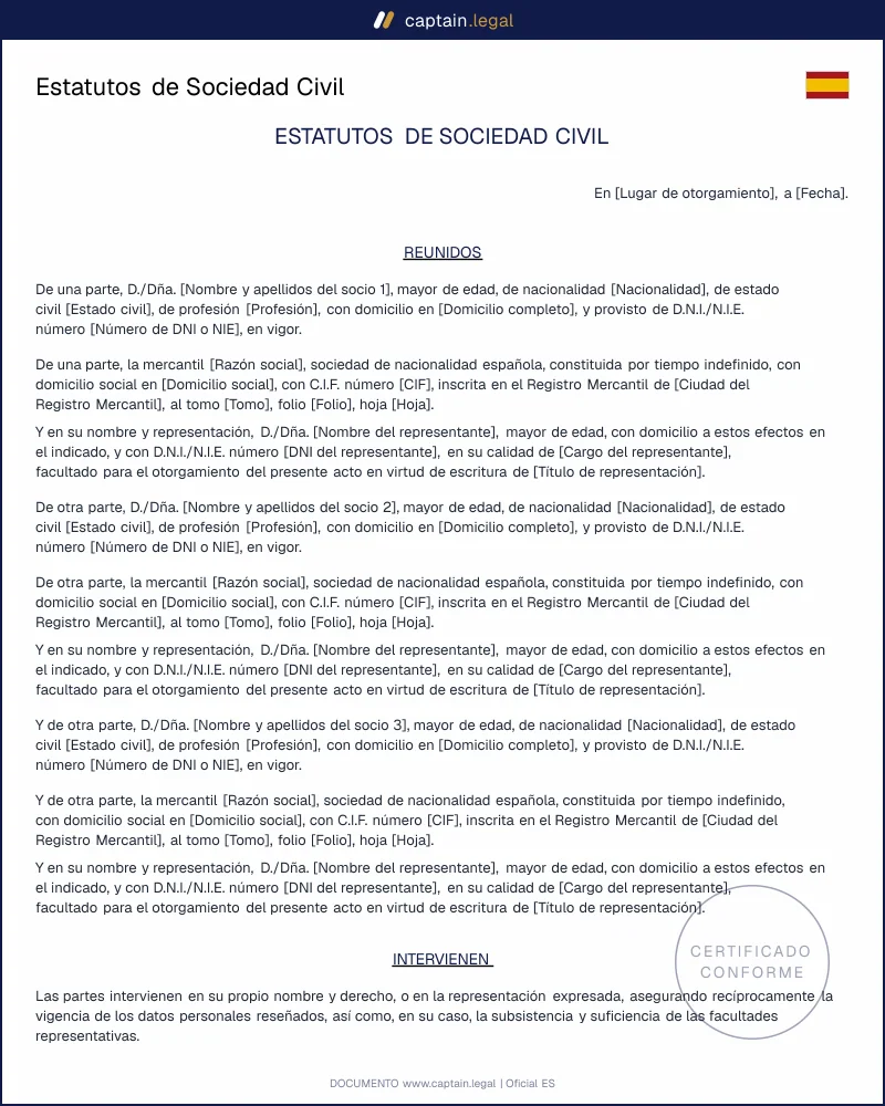 Estatutos Sociedad Civil para freelances y profesionales | S.C.
